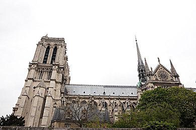 《FAIRY TAIL 闯迷宫》登陆Steam 真岛浩联动策划